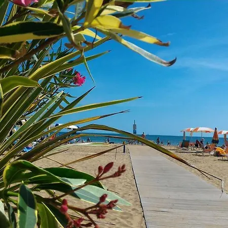 Georget Bibione